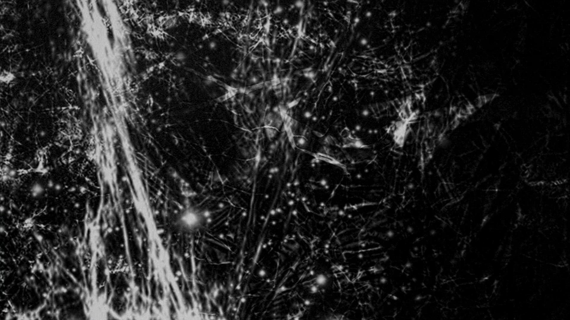 La intenció poètica de Max de Esteban --  Col·lecció MACBA. Preludi. Intenció poètica [Publicació audiovisual]