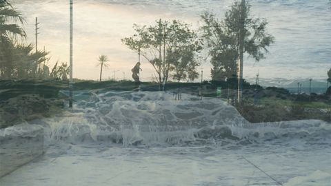 La nave de los locos