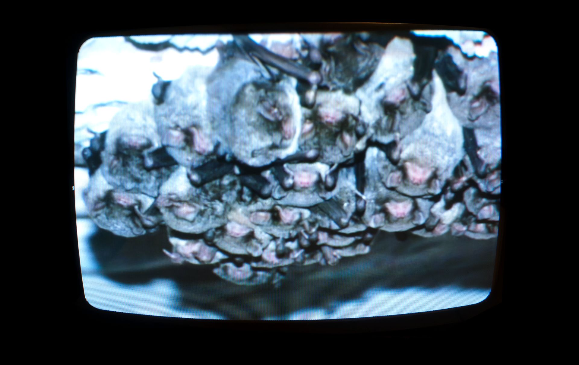 dig_ahis00603_225_h--imatge-dig_ahis00603_225_htif