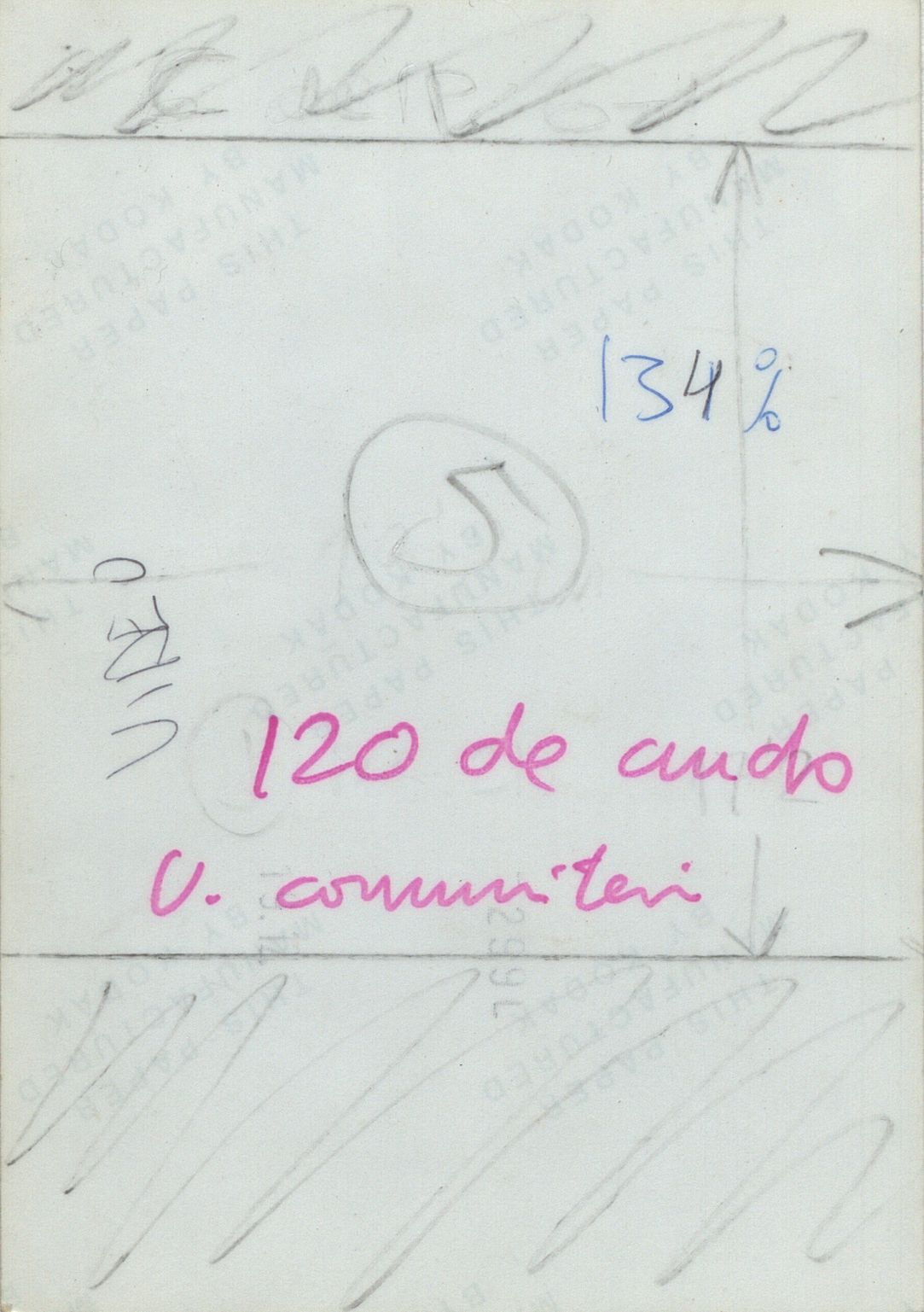 dig_avno0626_001_v_h--imatge-dig_avno0626_001_v_htif