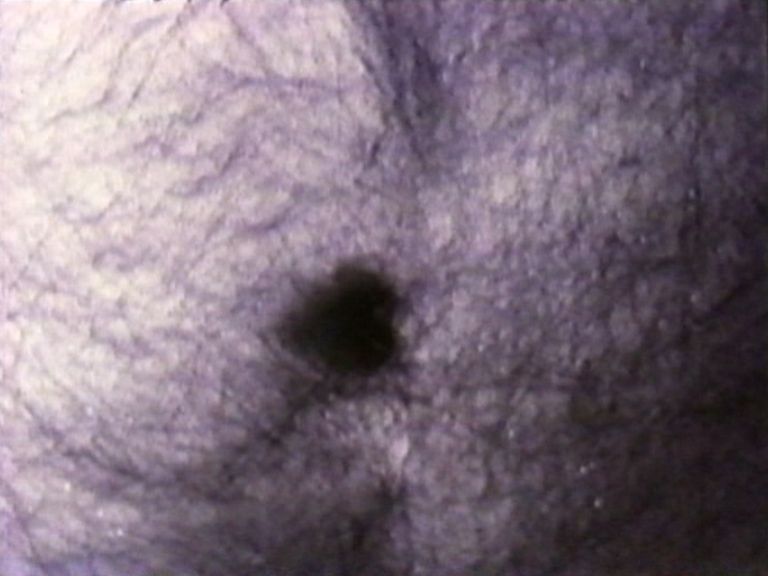 2589_003_pub--imatge-2589_003_pubjpg