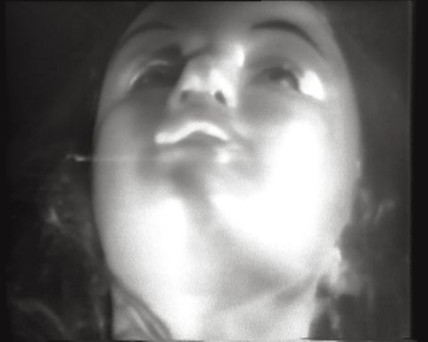 Organic Honey's Visual Telepathy