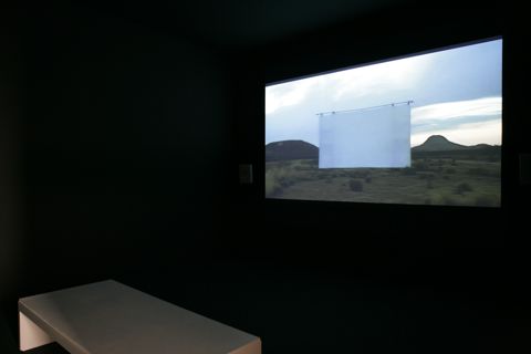 Une voix dans le désert