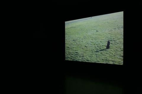 Green Green Grass of Home