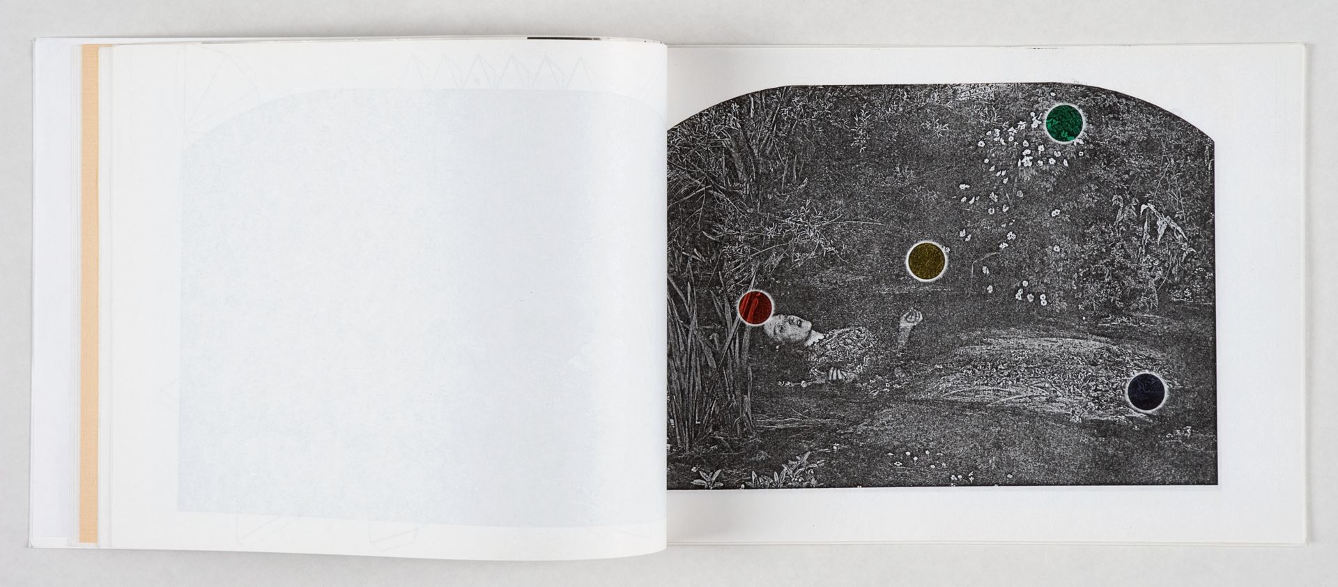 2719_002_hist--imatge-ophelia