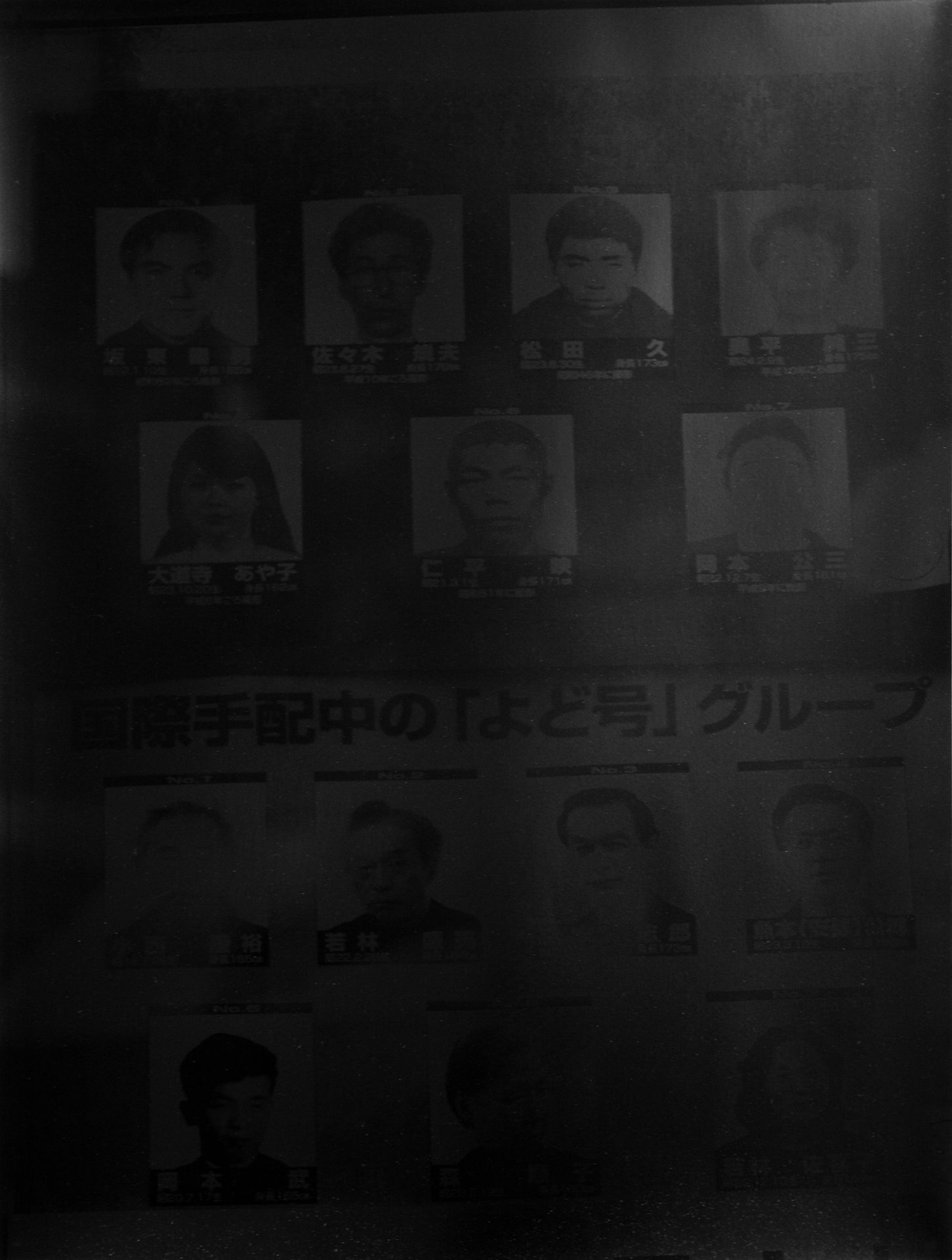 Veure el fitxer digital:[5026.009_001_pub / Imatge] The Anabasis of May and Fusako Shigenobu, Masao Adachi, and 27 Years without Images