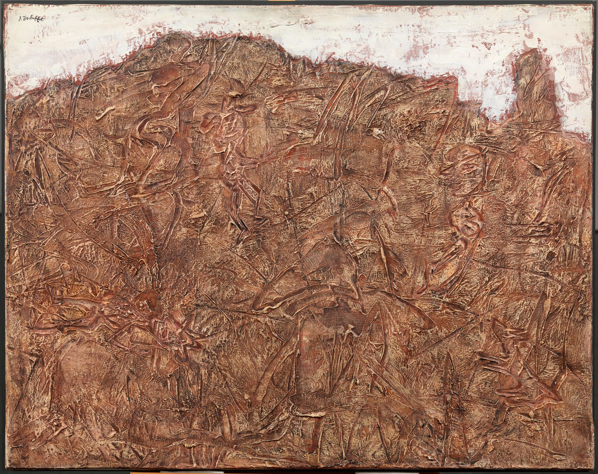 0031_003_rgb--imatge-le-chien-jappeur