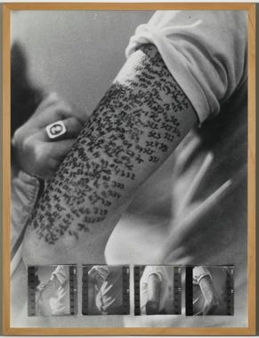 Comptar i numerar les pigues d'una part del braç per part dels assistents