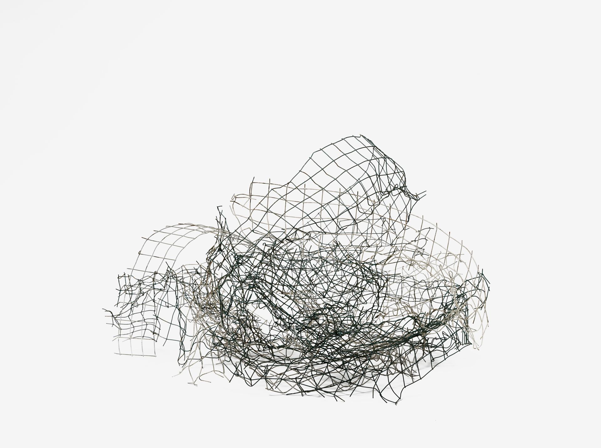 3063_002_rgb--imatge-bicho-879