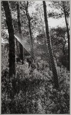 Intersecció de llum