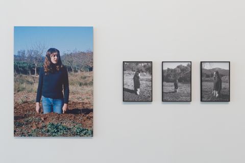 Translacions. Dona-arbre [Documentació de l'acció realitzada el novembre de 1973 a Sant Llorenç del Munt, Espanya]