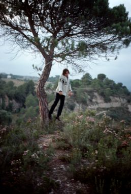 L'arbre. L'arbre i l'home. El penjat