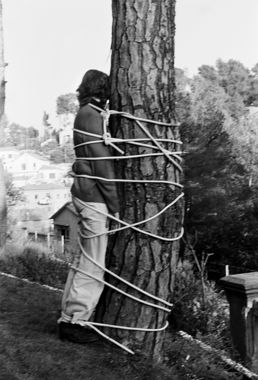 L'arbre. L'arbre i l'home. Lligada a l'arbre