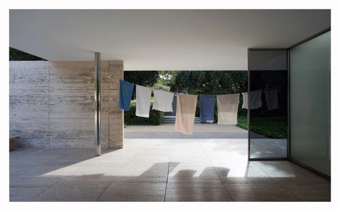 L’estadi, el pavelló i el palau