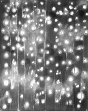 Per tant, llumenetes