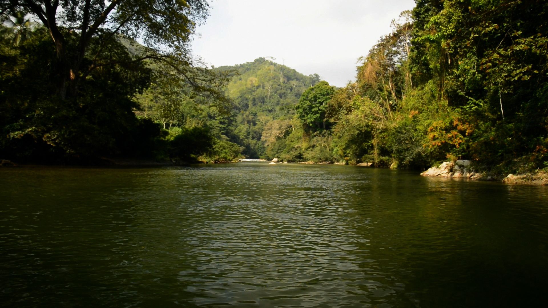 5091_001_rgb--imatge-nefandus