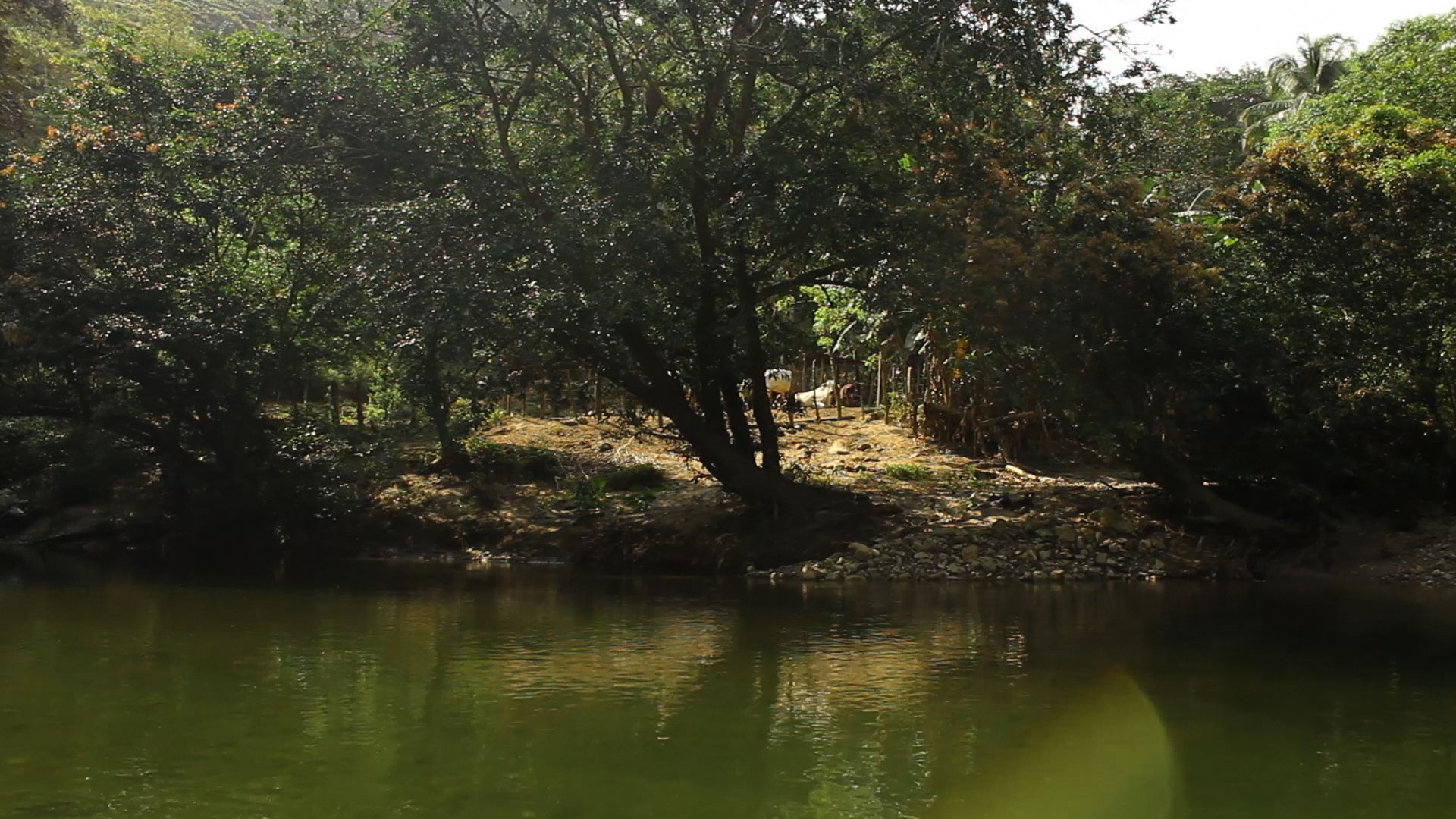 5091_005_rgb--imatge-nefandus