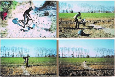 Translació d'arena de la platja a un camp de conreu