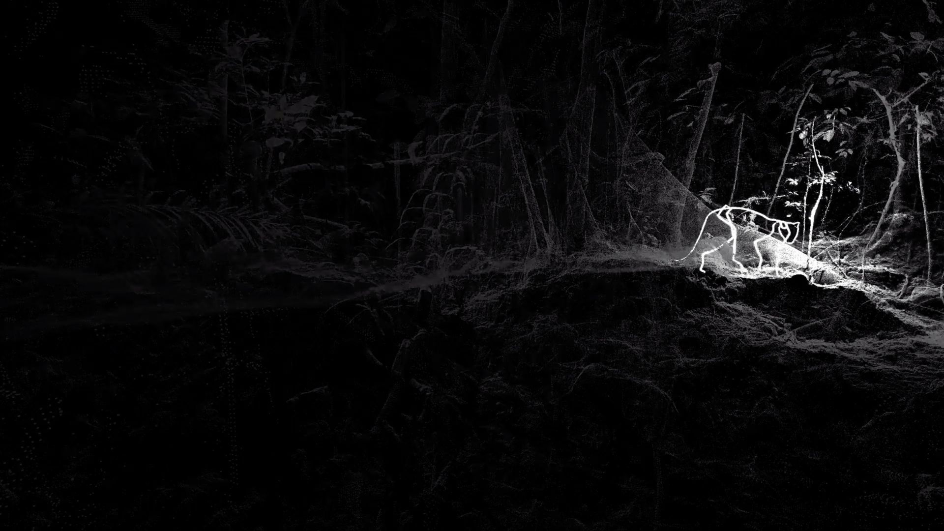 5944_002_pub--imatge-a-dream-dreaming-a-dream