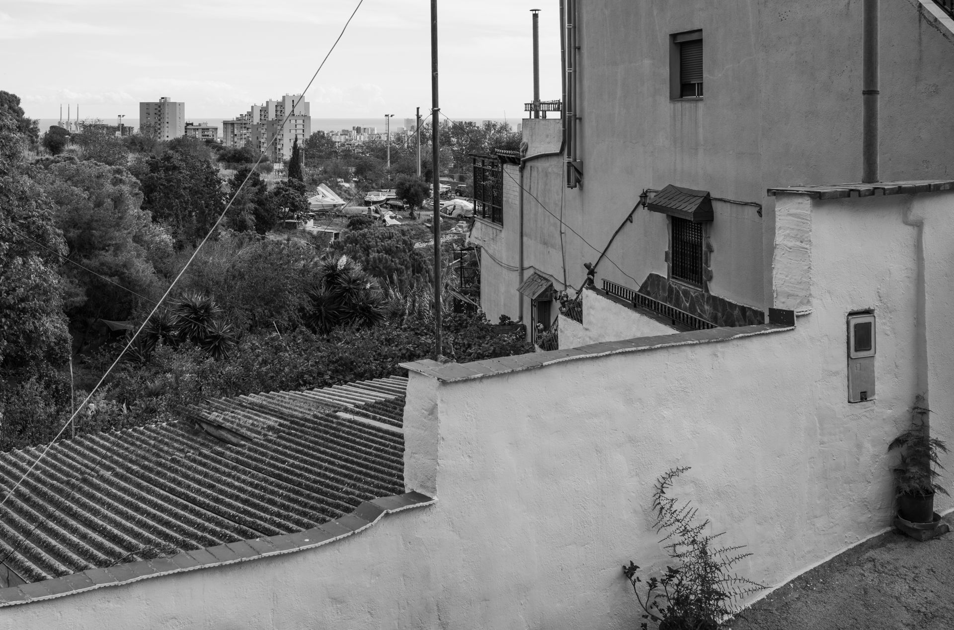 7199_020_pub--imatge-7199_020_pubtif