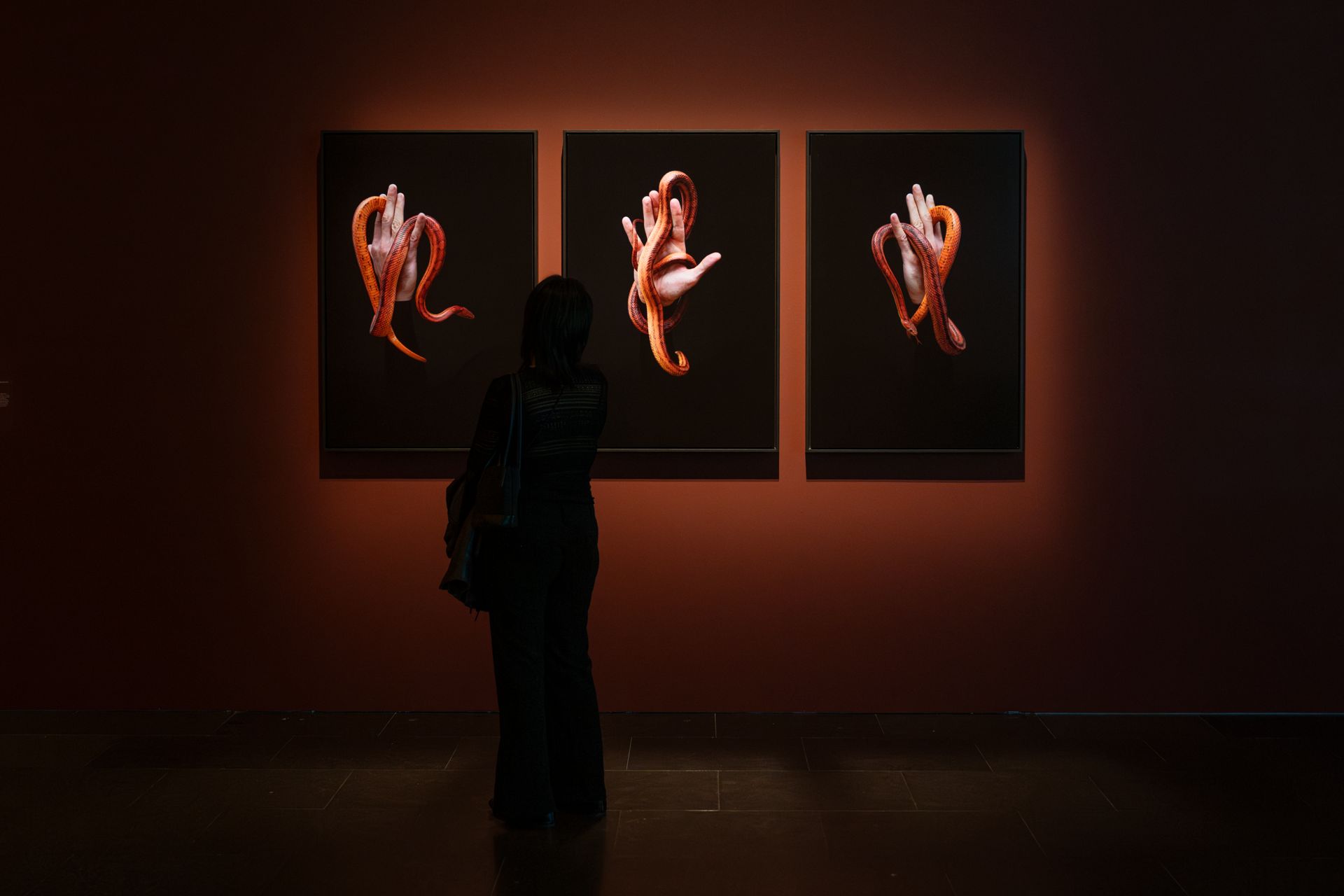 dig_ahis08431_078--imatge-dig_ahis08431_078tif