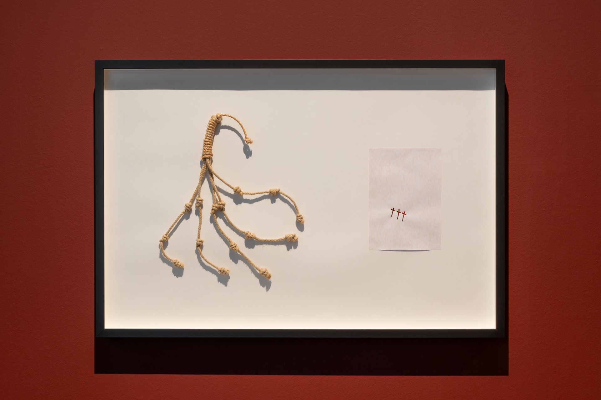 dig_ahis08431_064--imatge-dig_ahis08431_064tif