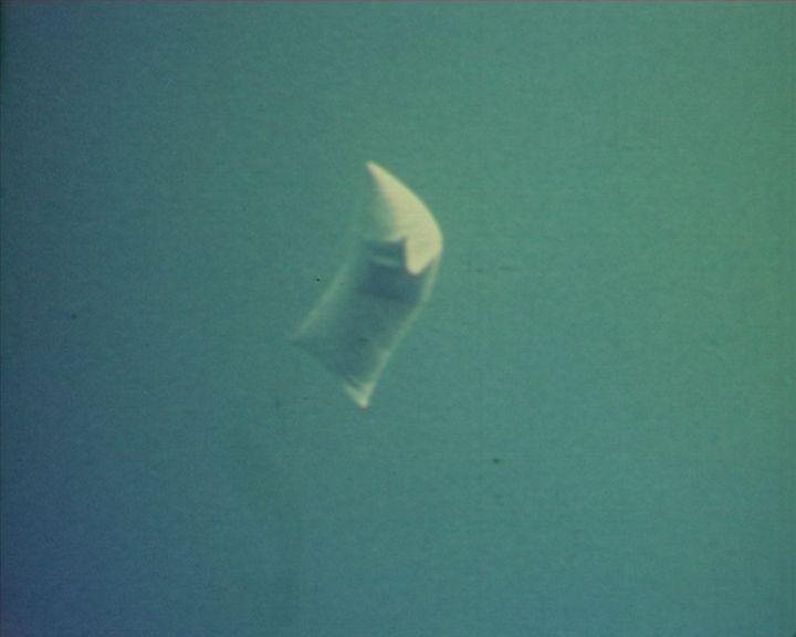 3195_010_pub--imatge-3195_010_pubjpg