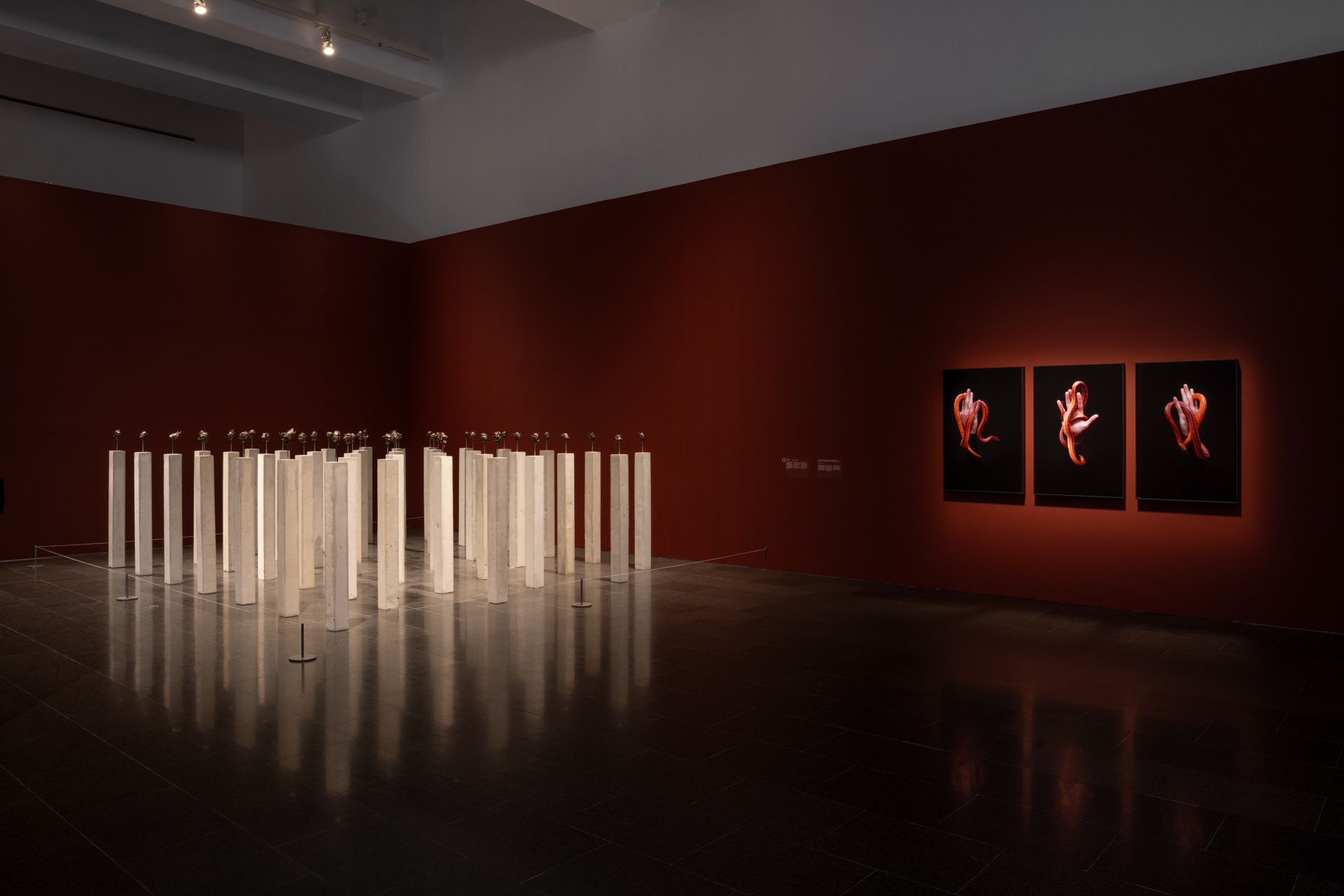 dig_ahis08431_079--imatge-dig_ahis08431_079tif