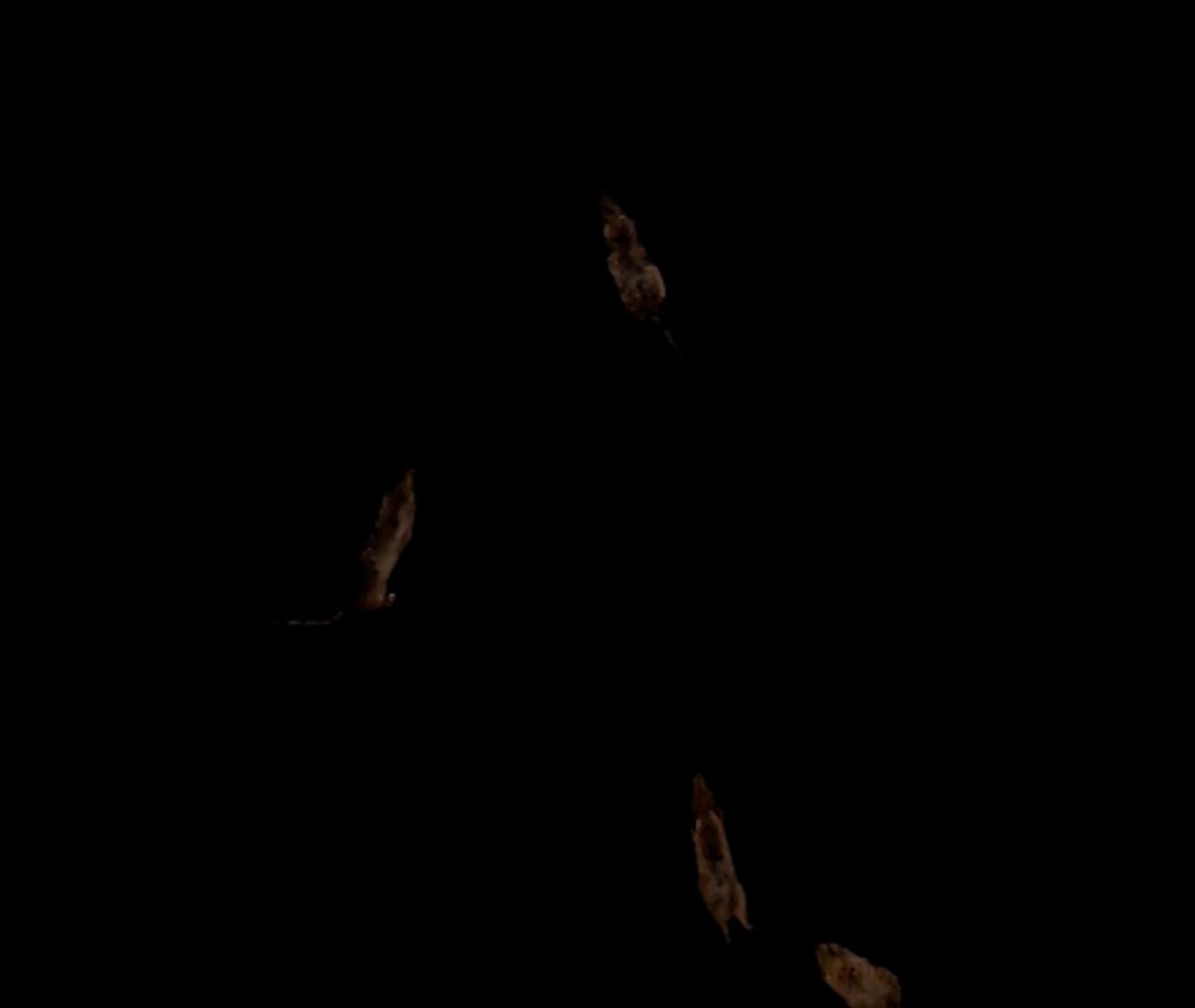 1673_002_hist--imatge-ciencies-naturals