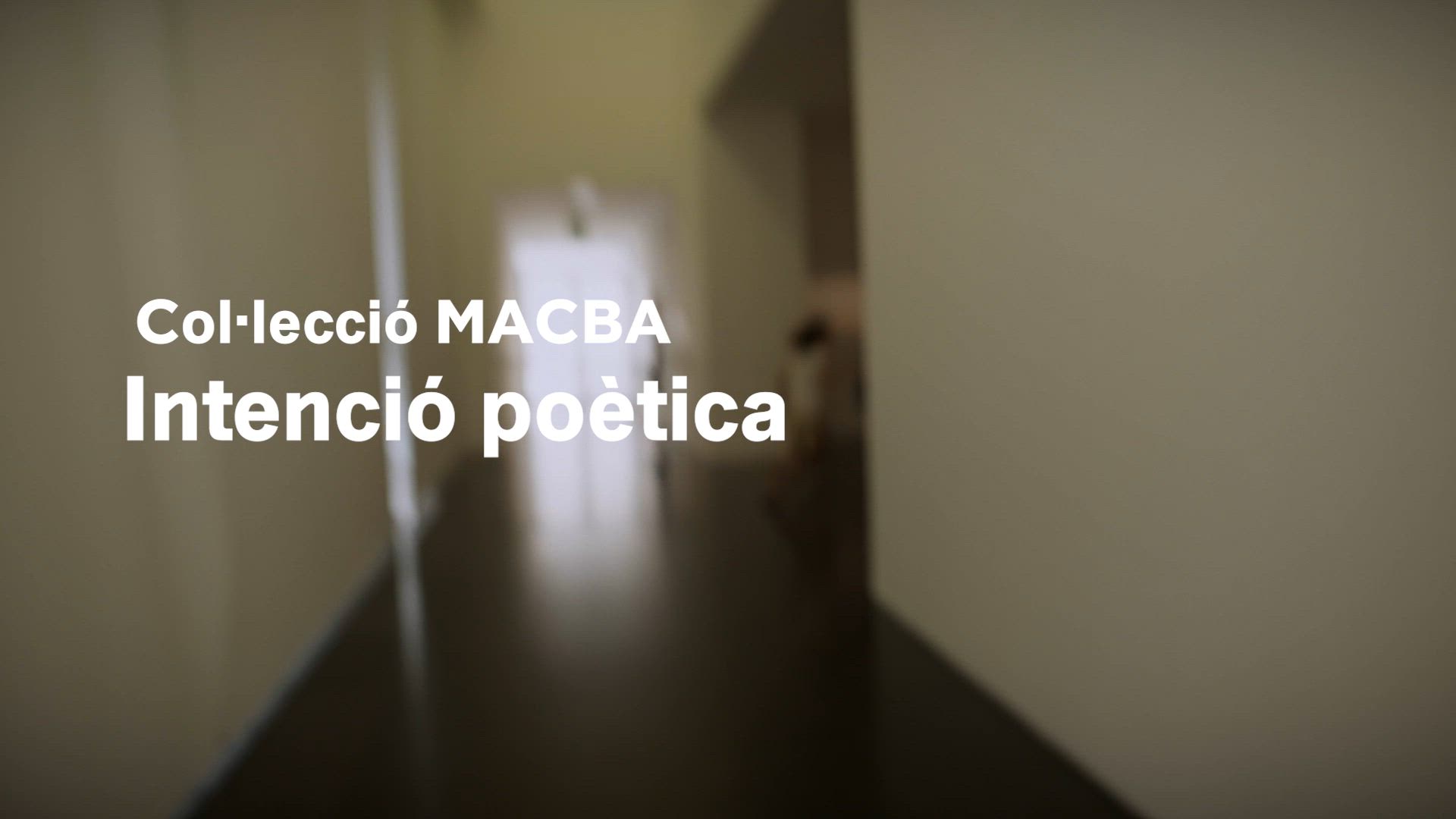 La intenció poètica d'oriol vilapuig --  Col·lecció MACBA. Preludi. Intenció poètica [Publicació audiovisual]