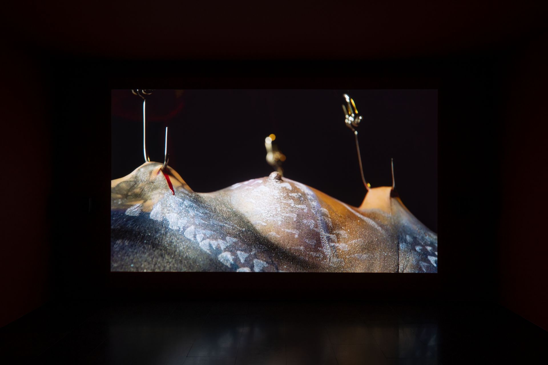 dig_ahis08431_104--imatge-dig_ahis08431_104tif