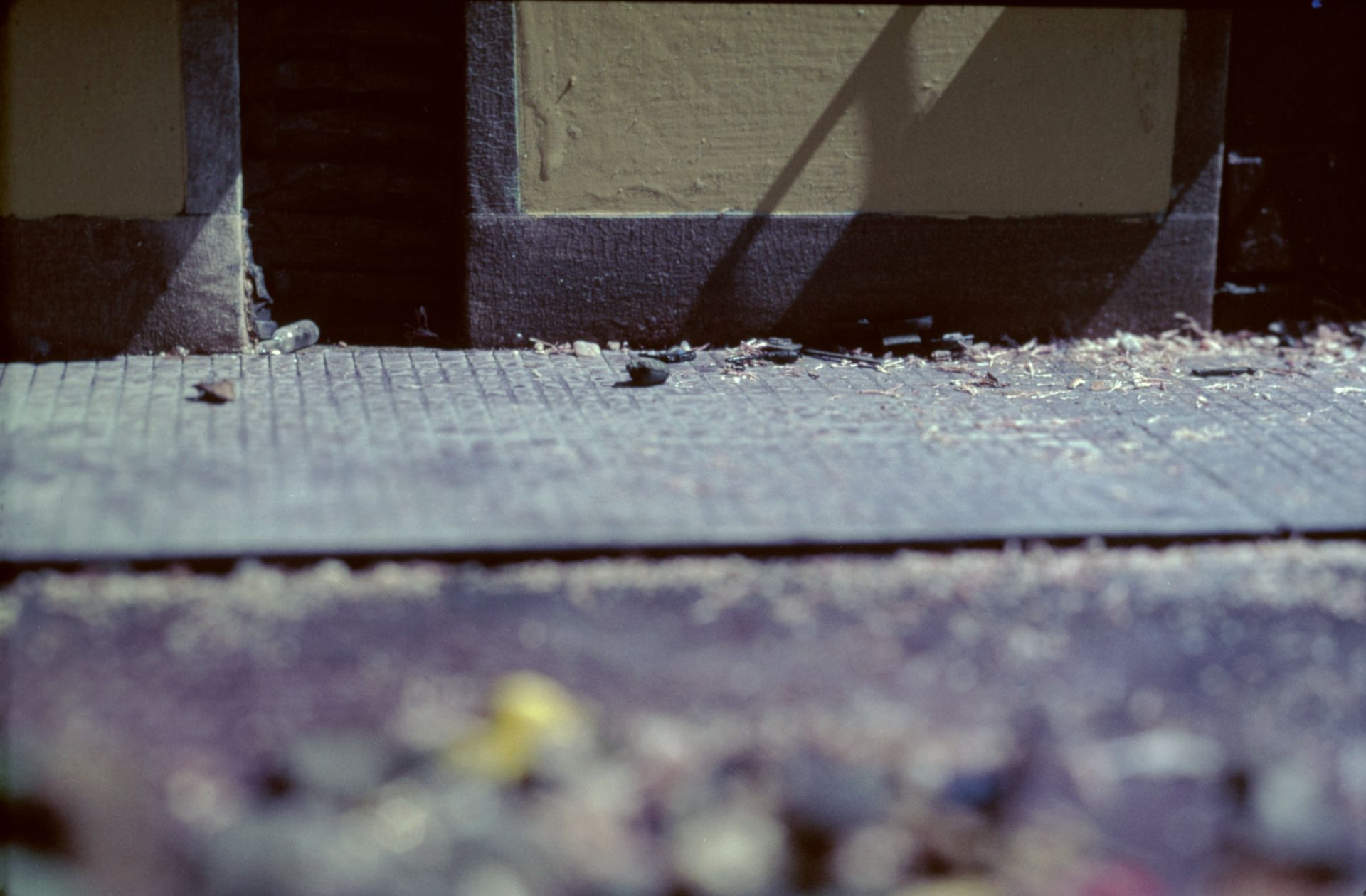 [7231_001_pub / Imatge] 7231_001_pub.TIF