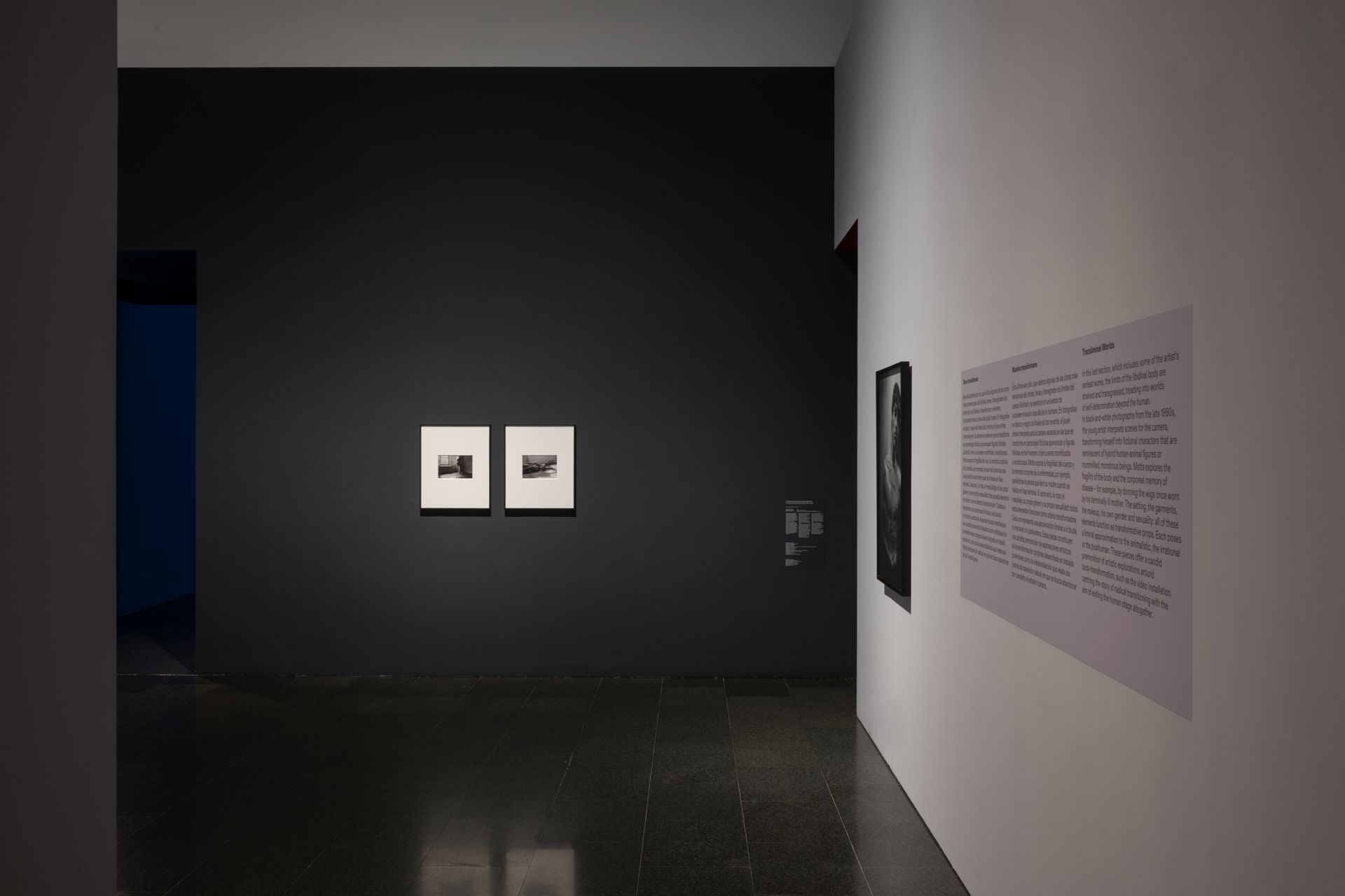 dig_ahis08431_094--imatge-dig_ahis08431_094tif