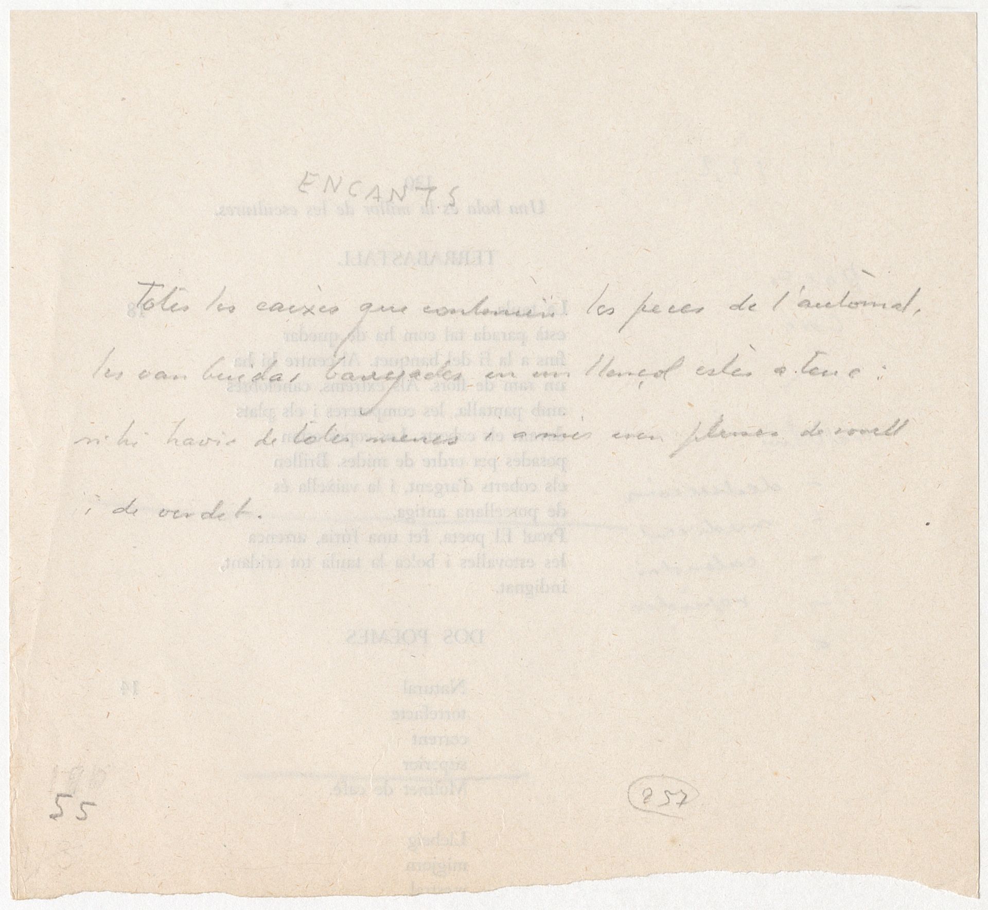 dig_ajbr00278_0056_r--text-dig_ajbr00278_0056_rtif