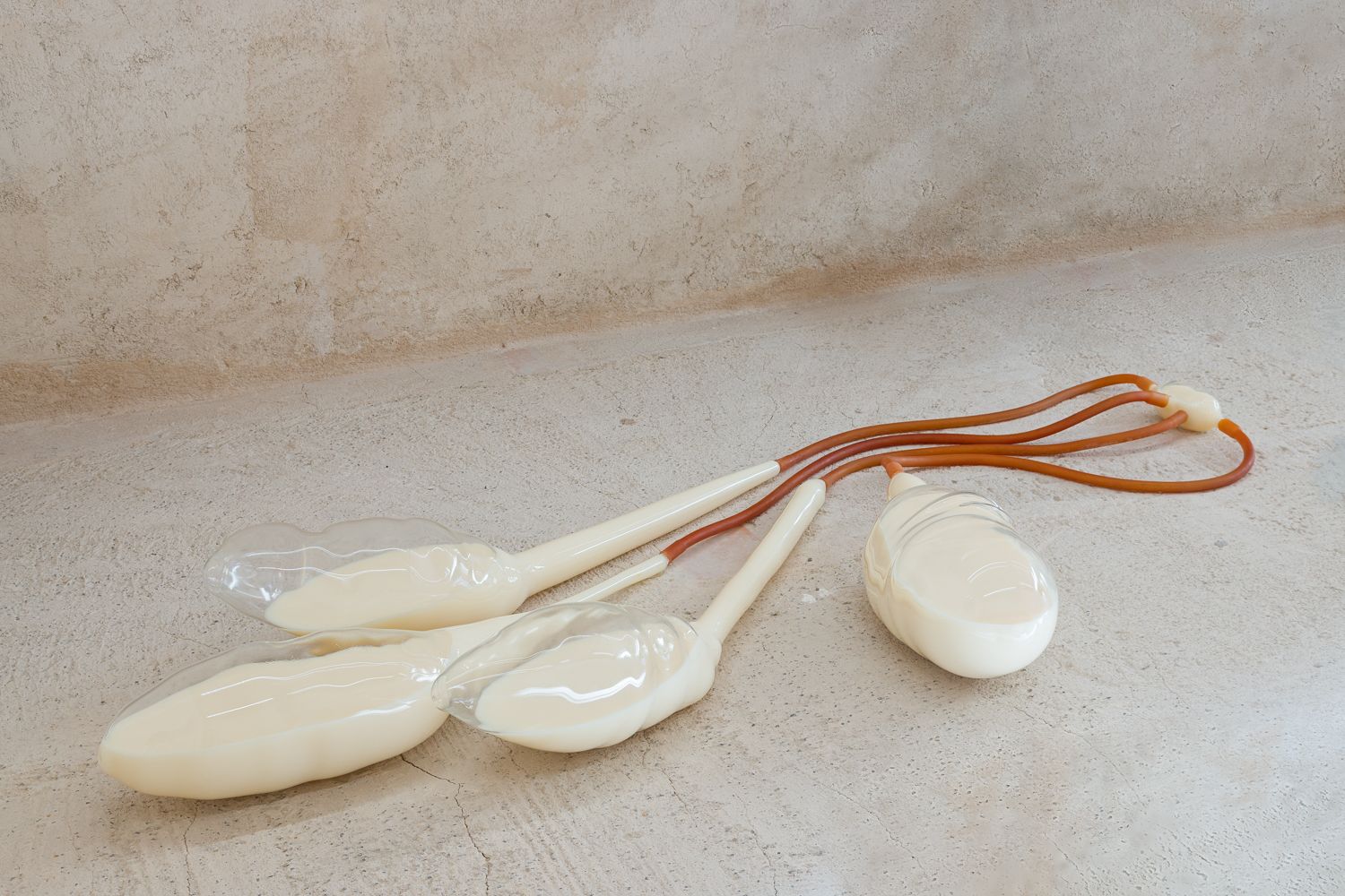 [7099_004_hist / Imatge] 7099_004_hist.jpg