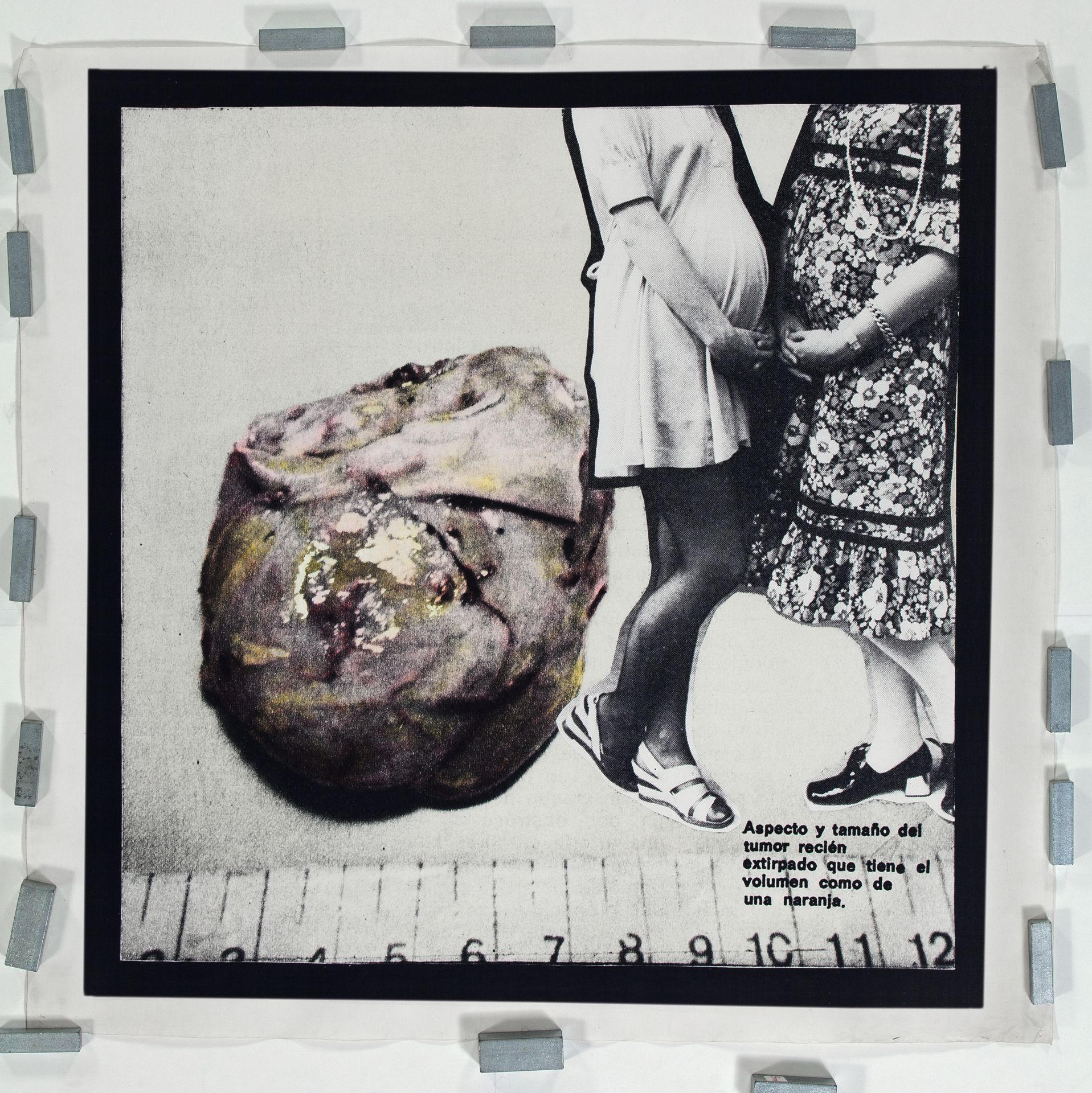 [7101_001_pub / Imatge] 7101_001_pub.tif