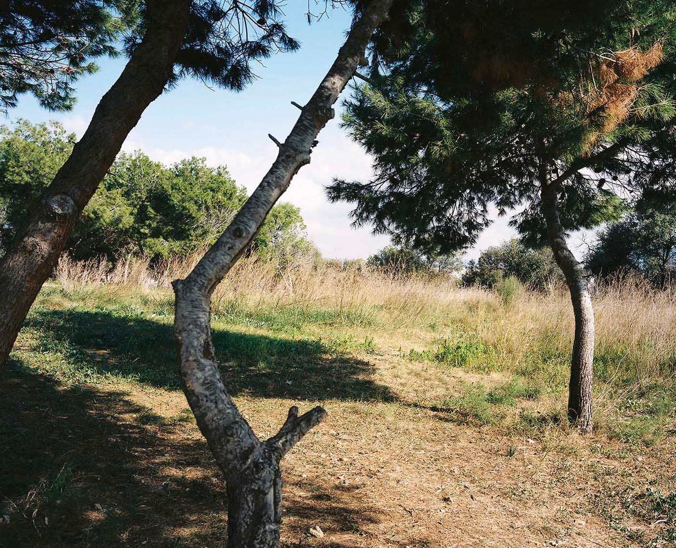 [7109_001_pub / Imatge] 7109_001_pub.JPG