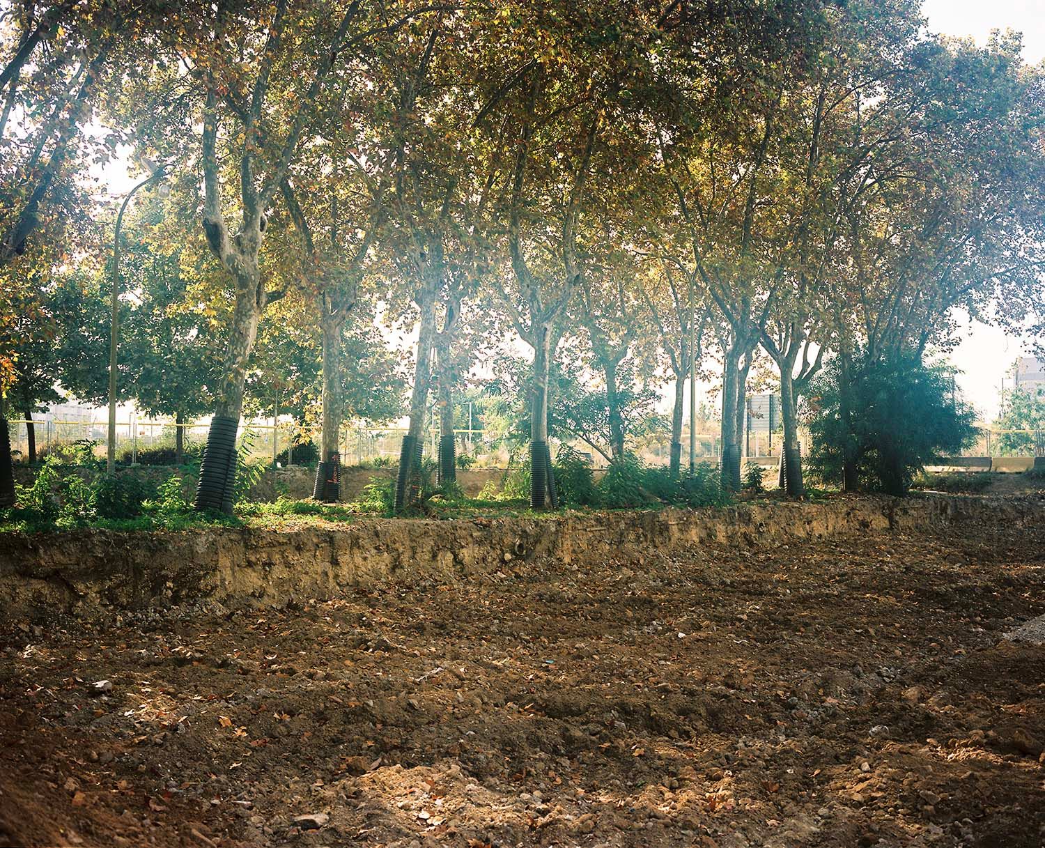 [7121_001_pub / Imatge] 7121_001_pub.JPG