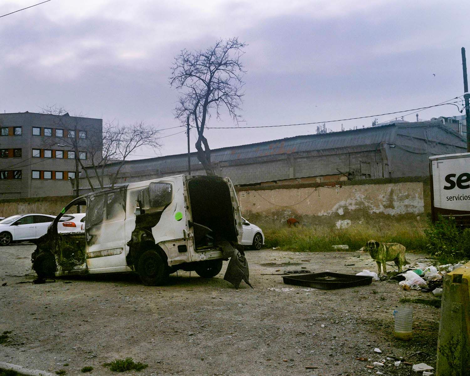 7125_001_pub--imatge-7125_001_pubjpg