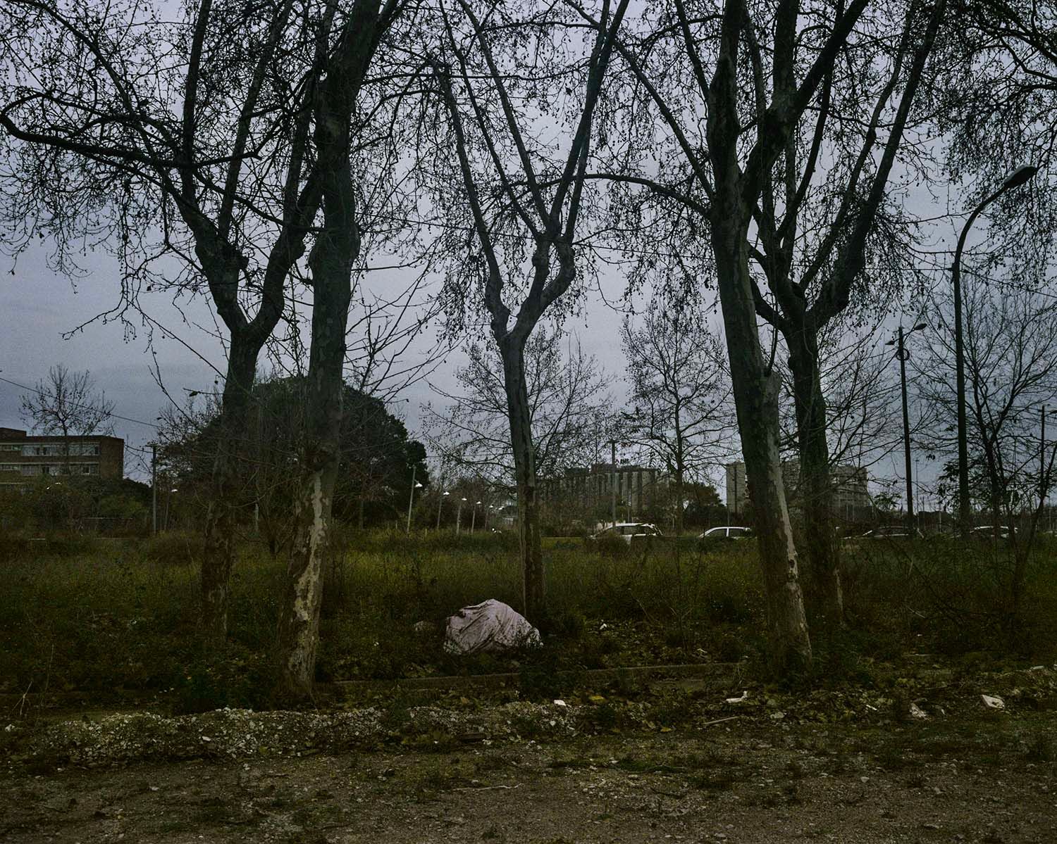 [7129_001_pub / Imatge] 7129_001_pub.JPG