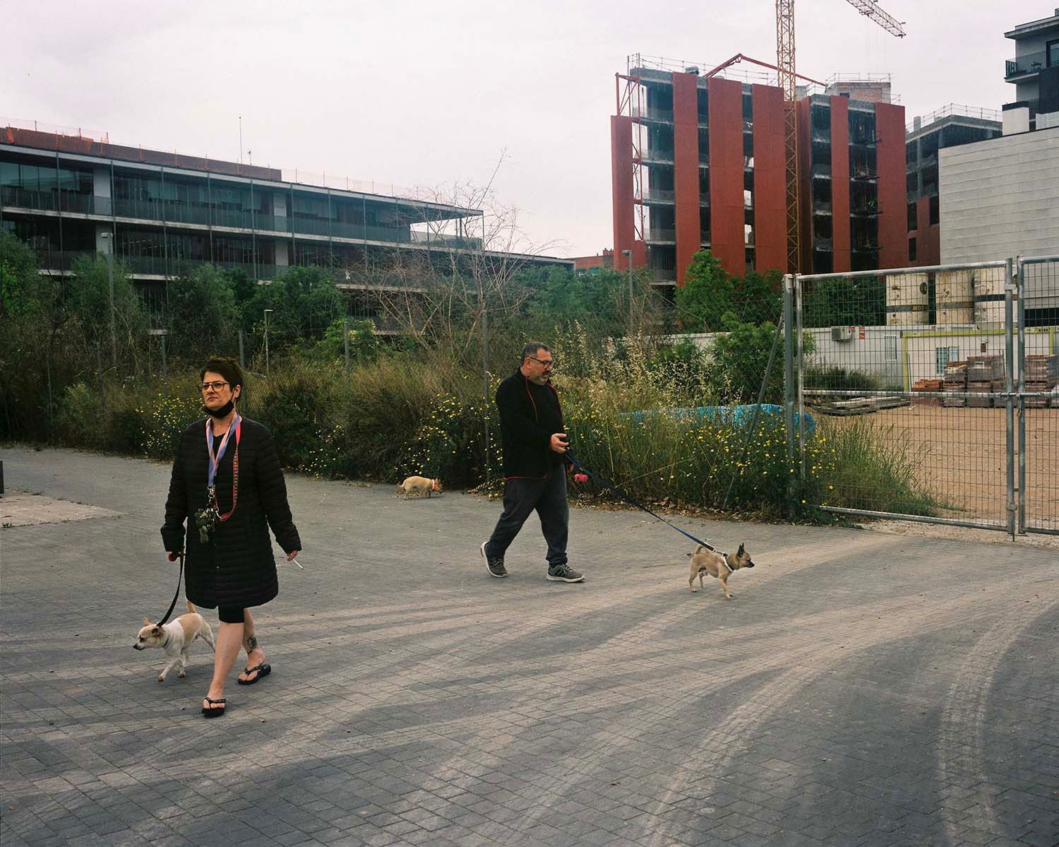 [7135_001_pub / Imatge] 7135_001_pub.JPG