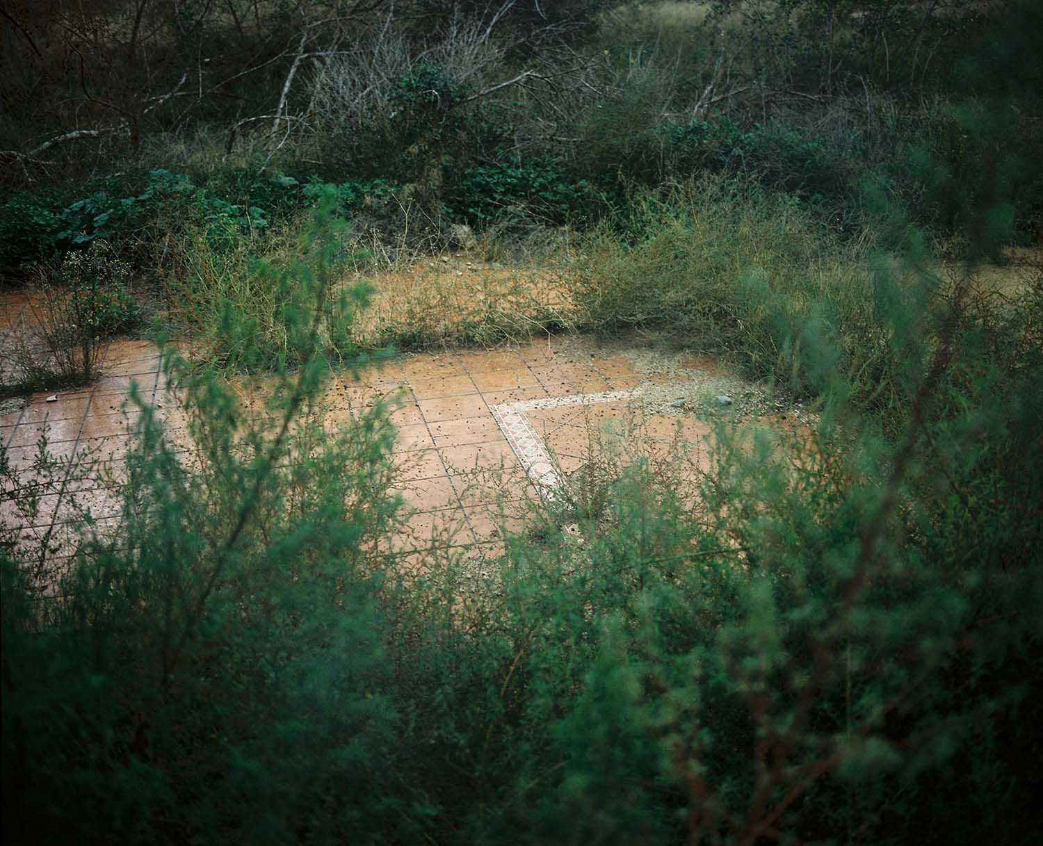 7136_001_pub--imatge-7136_001_pubjpg