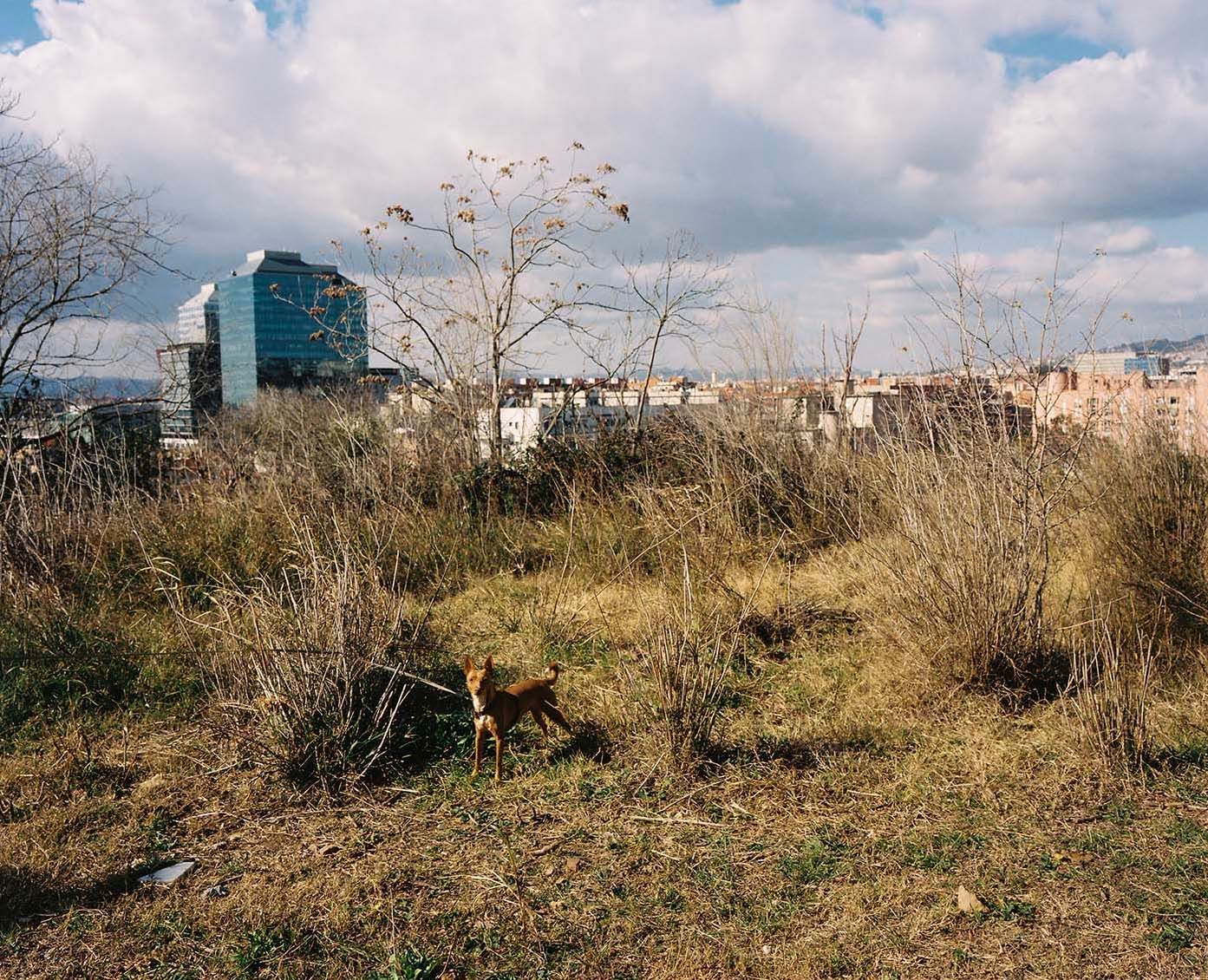 [7190_001_pub / Imatge] 7190_001_pub.JPG