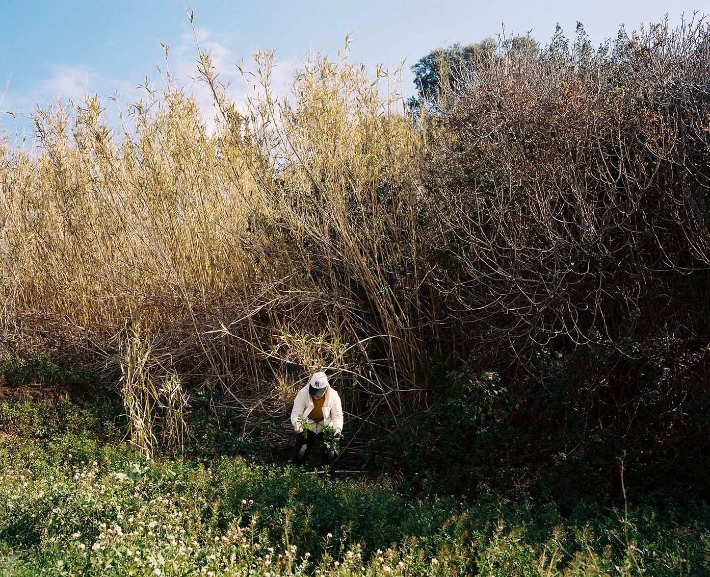 [7191_001_pub / Imatge] 7191_001_pub.JPG