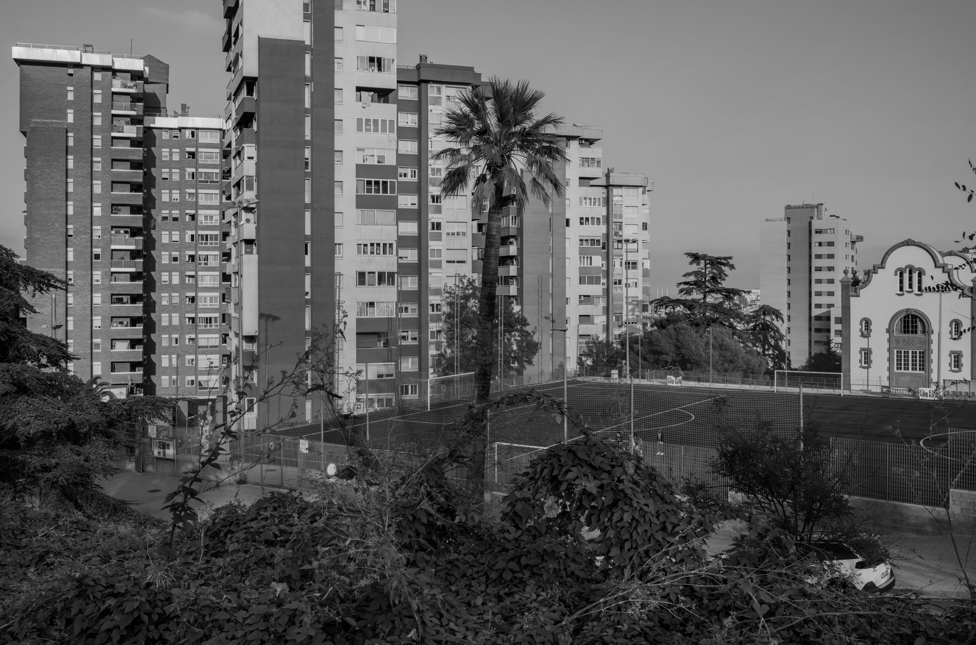 7199_005_pub--imatge-7199_005_pubtif