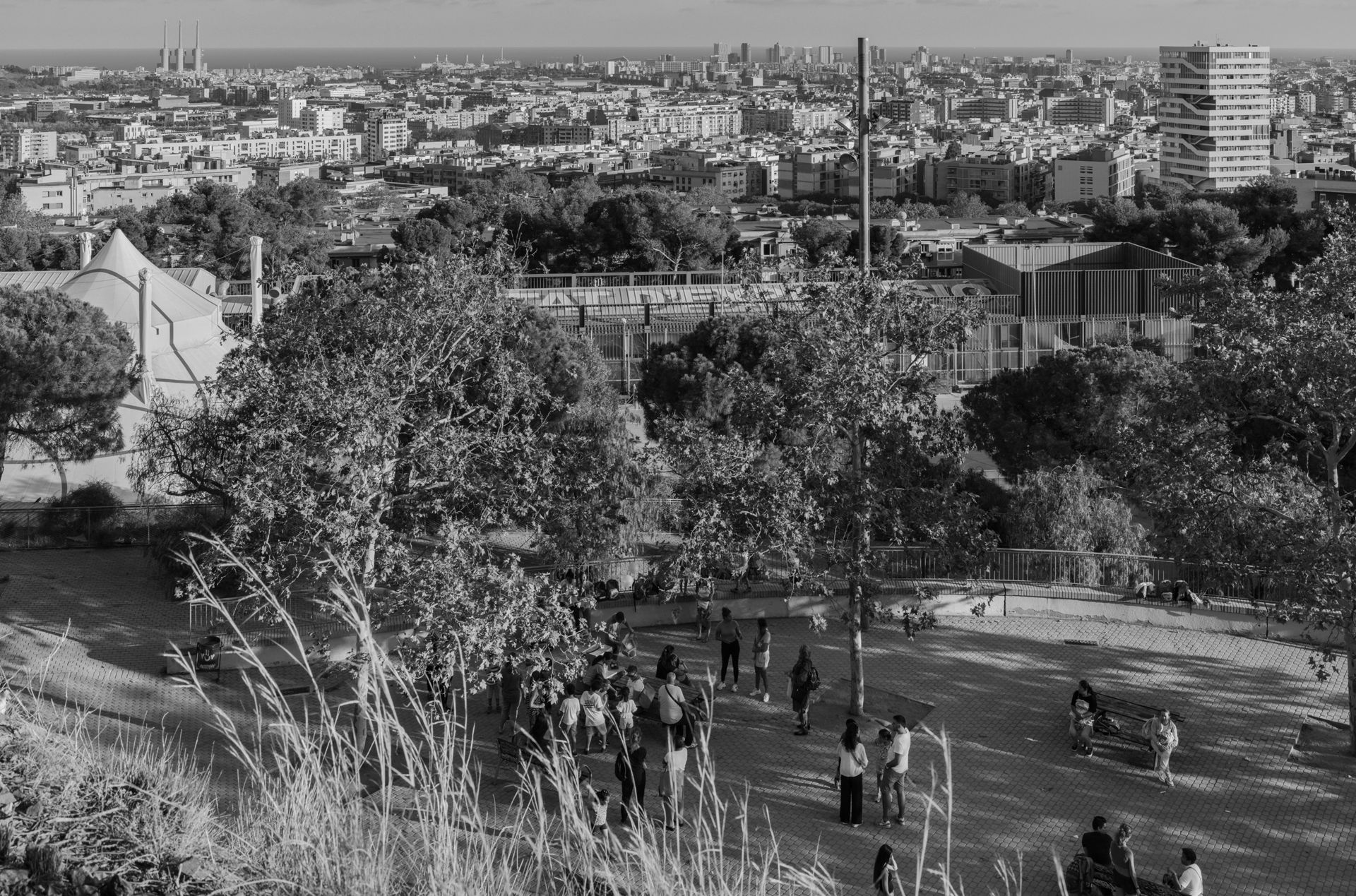 7199_006_pub--imatge-7199_006_pubtif