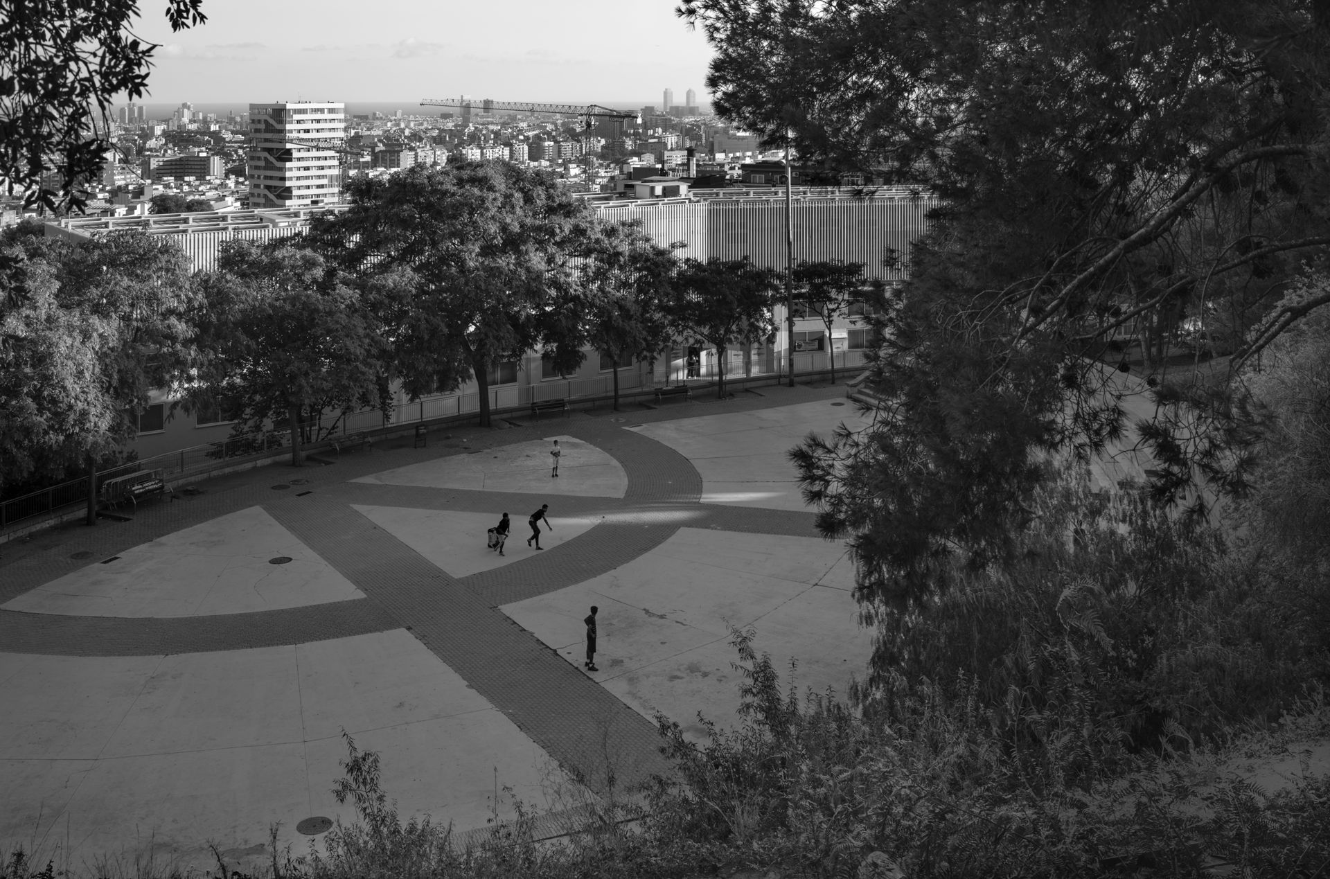 7199_007_pub--imatge-7199_007_pubtif