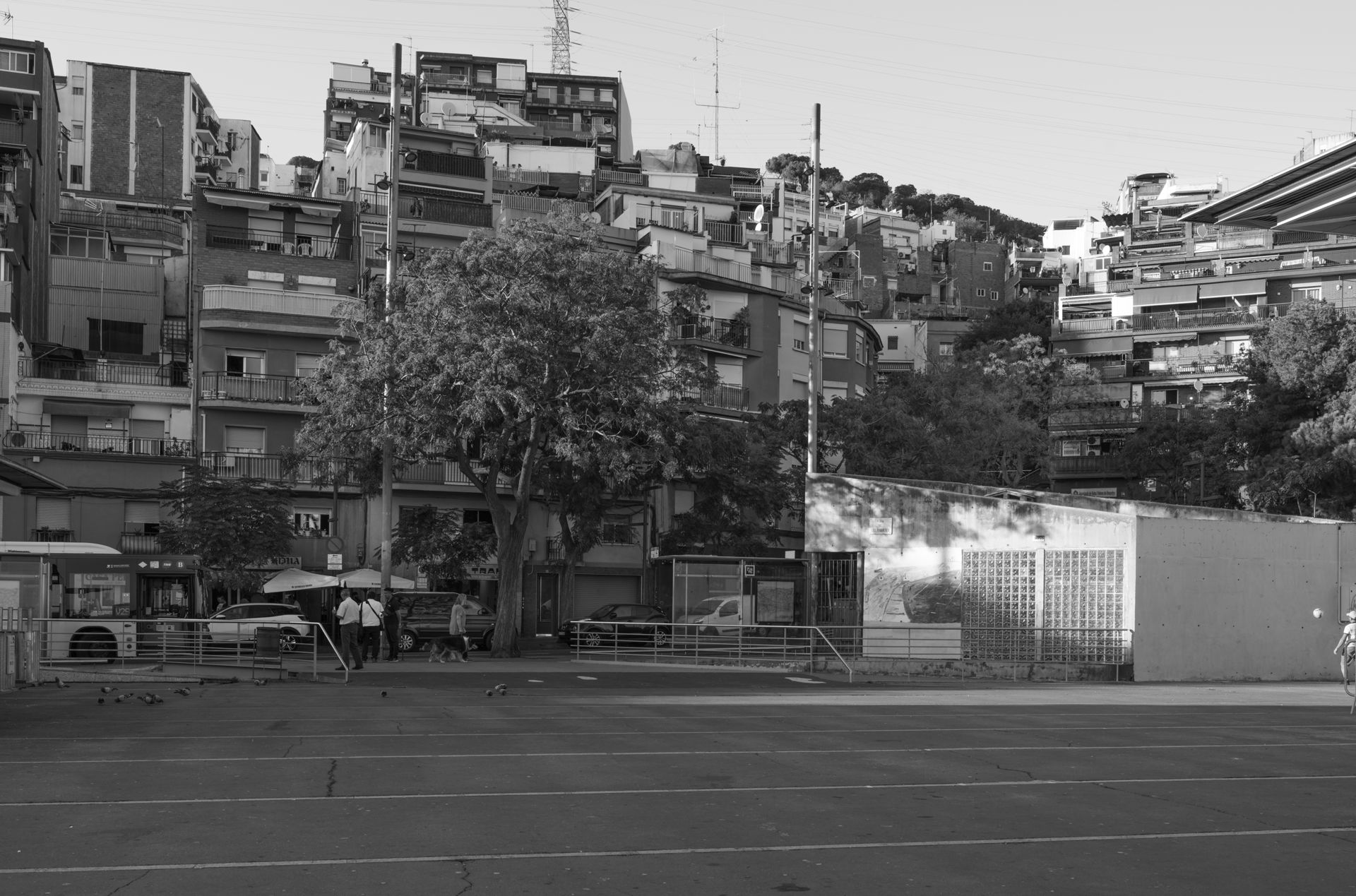 7199_008_pub--imatge-7199_008_pubtif