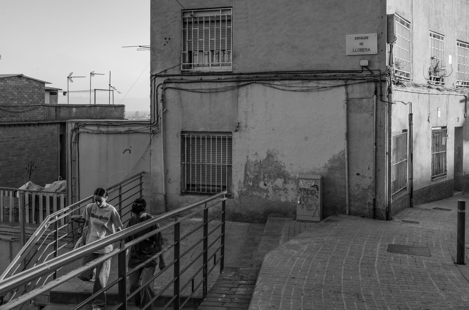 7199_010_pub--imatge-7199_010_pubtif