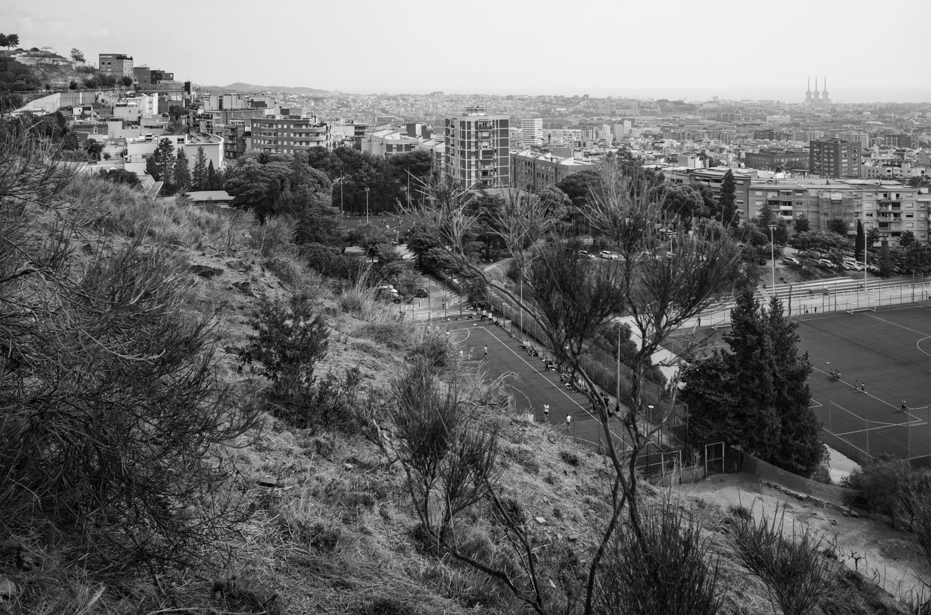 7199_015_pub--imatge-7199_015_pubtif